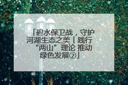 碧水保卫战，守护河湖生态之美丨践行“两山”理论 推动绿色发展②
