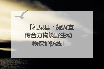 礼泉县：凝聚宣传合力构筑野生动物保护防线