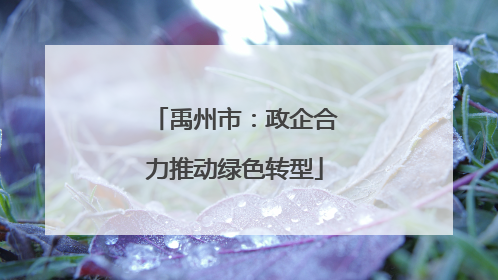 禹州市：政企合力推动绿色转型