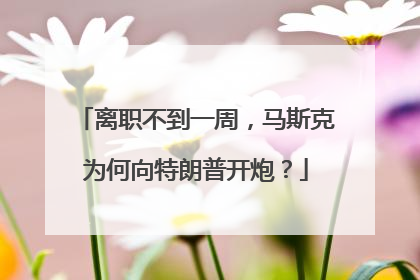 离职不到一周，马斯克为何向特朗普开炮？