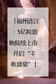 福州连江：5亿粒夏鲍陆续上市 开启“丰收盛宴”