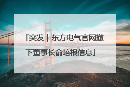 突发｜东方电气官网撤下董事长俞培根信息