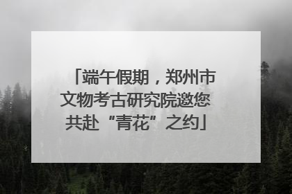 端午假期，郑州市文物考古研究院邀您共赴“青花”之约
