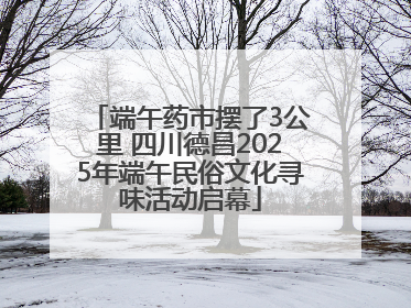端午药市摆了3公里 四川德昌2025年端午民俗文化寻味活动启幕