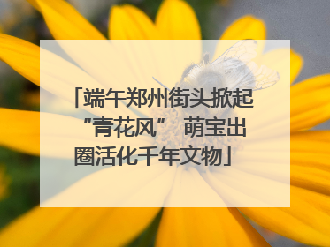 端午郑州街头掀起“青花风” 萌宝出圈活化千年文物