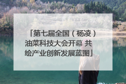 第七届全国（杨凌）油菜科技大会开幕 共绘产业创新发展蓝图