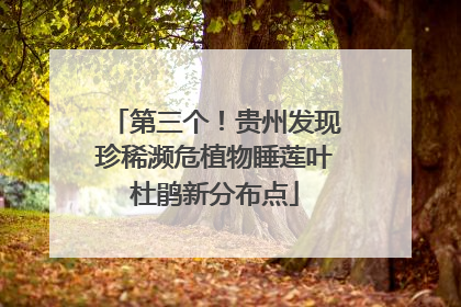 第三个！贵州发现珍稀濒危植物睡莲叶杜鹃新分布点