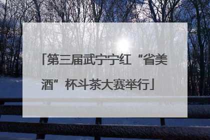 第三届武宁宁红“省美酒”杯斗茶大赛举行