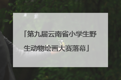 第九届云南省小学生野生动物绘画大赛落幕