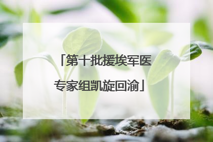 第十批援埃军医专家组凯旋回渝