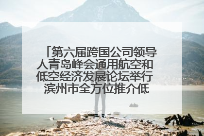 第六届跨国公司领导人青岛峰会通用航空和低空经济发展论坛举行 滨州市全方位推介低空经济发展优势