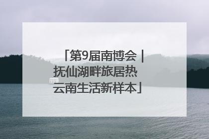 第9届南博会｜抚仙湖畔旅居热 云南生活新样本