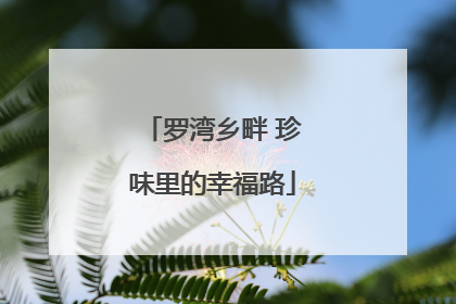 罗湾乡畔 珍味里的幸福路