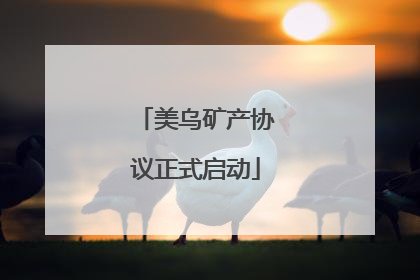 美乌矿产协议正式启动