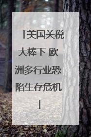 美国关税大棒下 欧洲多行业恐陷生存危机