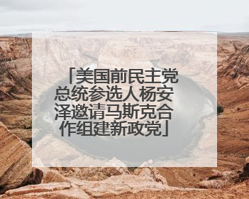 美国前民主党总统参选人杨安泽邀请马斯克合作组建新政党