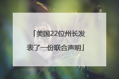 美国22位州长发表了一份联合声明