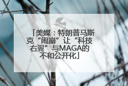 美媒：特朗普马斯克“闹崩”让“科技右翼”与MAGA的不和公开化