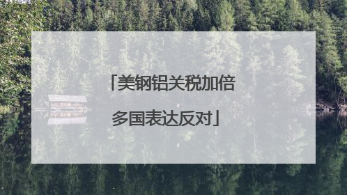 美钢铝关税加倍 多国表达反对