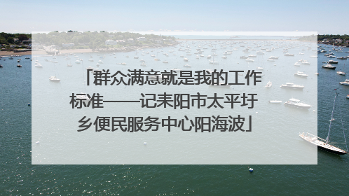 群众满意就是我的工作标准——记耒阳市太平圩乡便民服务中心阳海波