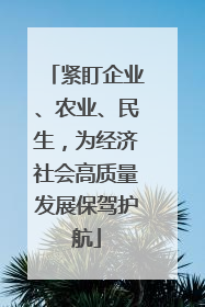 紧盯企业、农业、民生，为经济社会高质量发展保驾护航