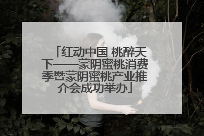 红动中国 桃醉天下——蒙阴蜜桃消费季暨蒙阴蜜桃产业推介会成功举办