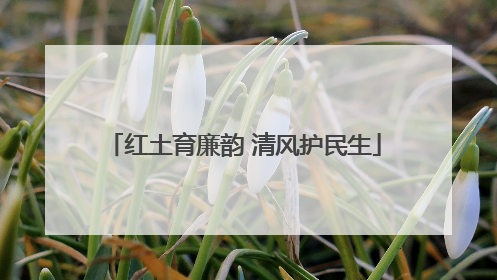 红土育廉韵 清风护民生