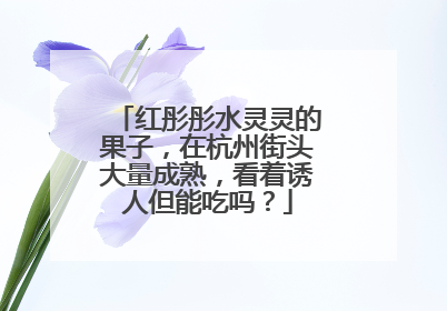 红彤彤水灵灵的果子，在杭州街头大量成熟，看着诱人但能吃吗？