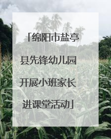 绵阳市盐亭县先锋幼儿园开展小班家长进课堂活动