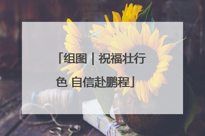 组图｜祝福壮行色 自信赴鹏程