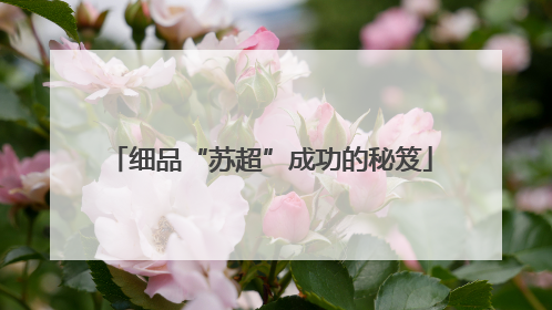 细品“苏超”成功的秘笈