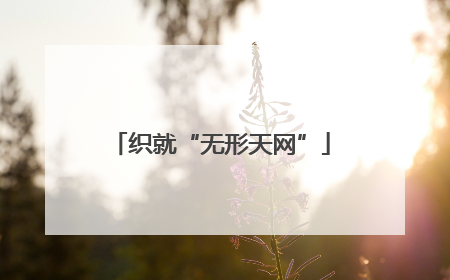 织就“无形天网”