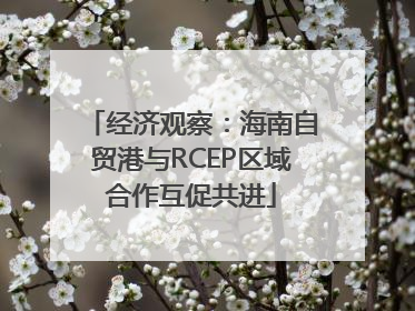 经济观察：海南自贸港与RCEP区域合作互促共进