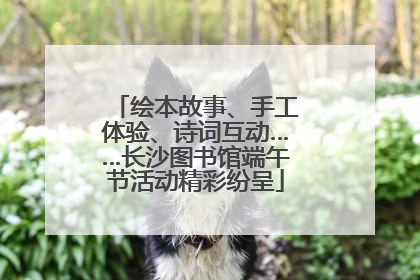 绘本故事、手工体验、诗词互动……长沙图书馆端午节活动精彩纷呈