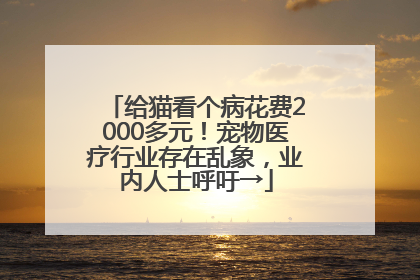 给猫看个病花费2000多元！宠物医疗行业存在乱象，业内人士呼吁→