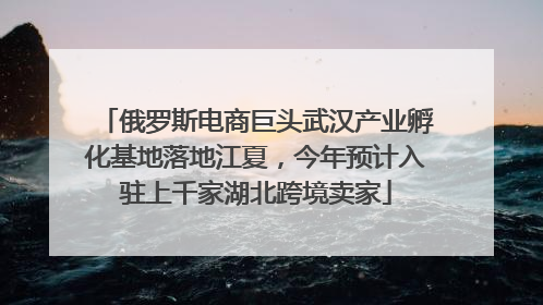 俄罗斯电商巨头武汉产业孵化基地落地江夏，今年预计入驻上千家湖北跨境卖家