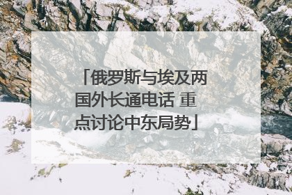 俄罗斯与埃及两国外长通电话 重点讨论中东局势