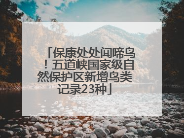 保康处处闻啼鸟！五道峡国家级自然保护区新增鸟类记录23种
