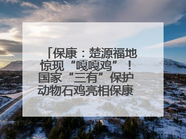 保康：楚源福地惊现“嘎嘎鸡”！国家“三有”保护动物石鸡亮相保康沿河公园