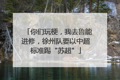 你们玩梗，我去鲁能进修，徐州队要以中超标准踢“苏超”