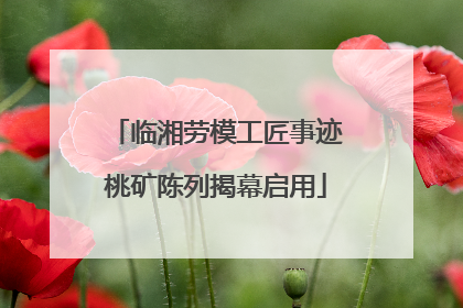 临湘劳模工匠事迹桃矿陈列揭幕启用