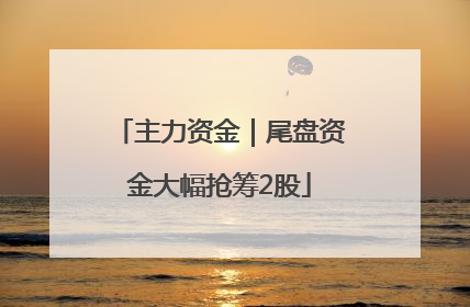 主力资金｜尾盘资金大幅抢筹2股