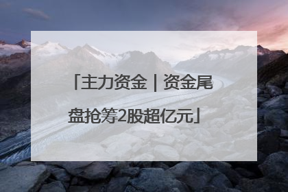 主力资金｜资金尾盘抢筹2股超亿元