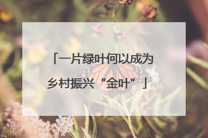 一片绿叶何以成为乡村振兴“金叶”