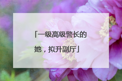 一级高级警长的她，拟升副厅