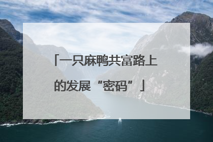 一只麻鸭共富路上的发展“密码”