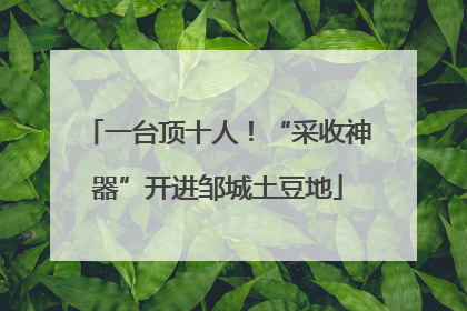 一台顶十人！“采收神器”开进邹城土豆地
