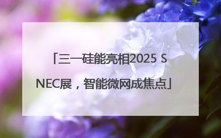 三一硅能亮相2025 SNEC展，智能微网成焦点