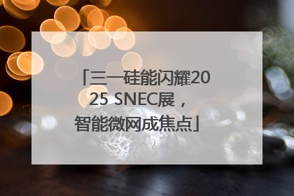 三一硅能闪耀2025 SNEC展，智能微网成焦点