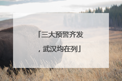 三大预警齐发，武汉均在列